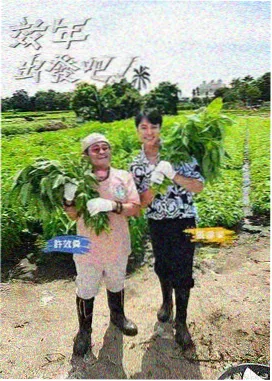 极限挑战综艺在线看